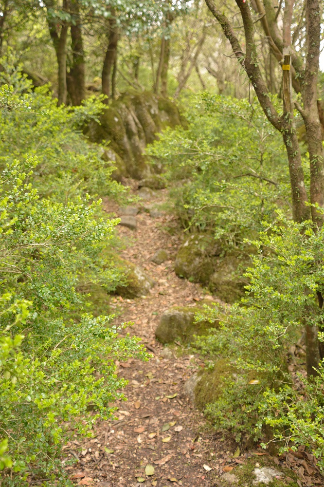 b0277008_19591524.jpg