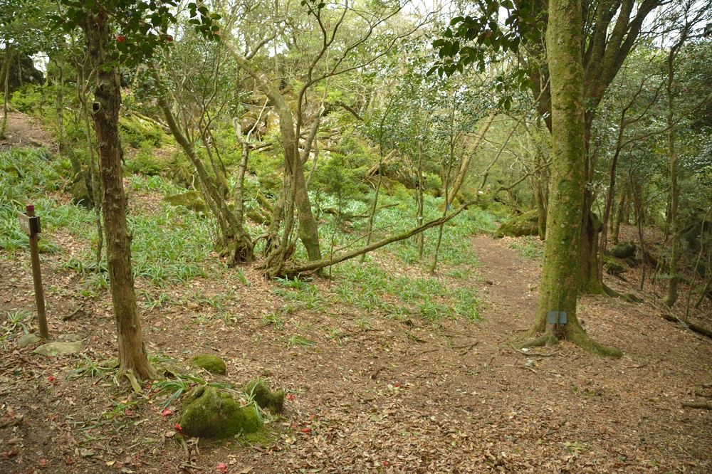 b0277008_201047.jpg