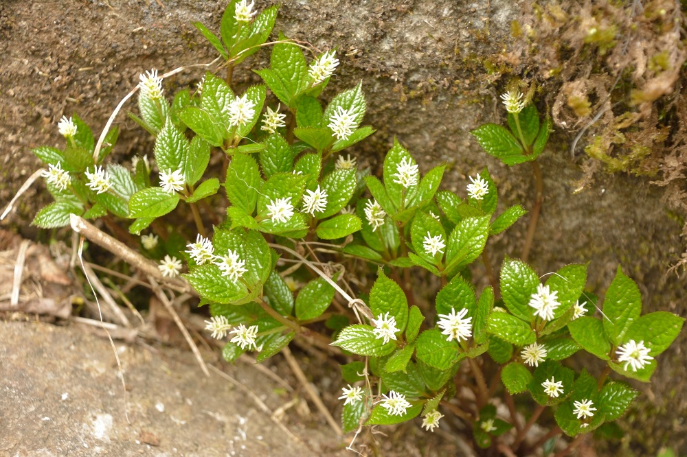 b0277008_20131060.jpg