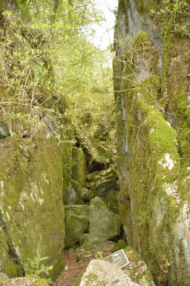 b0277008_2042438.jpg