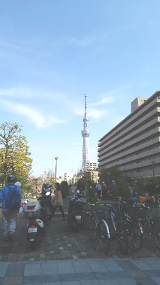 d0330311_10505416.jpg