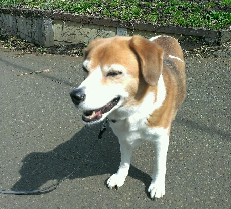 c0084117_939547.jpg
