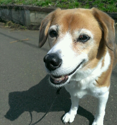 c0084117_9414519.jpg