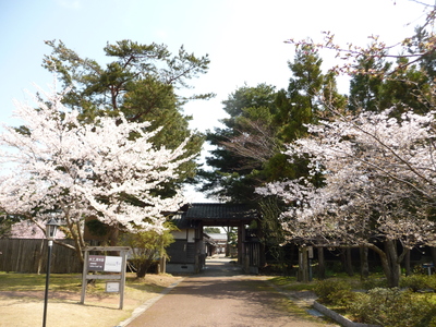e0135219_164317.jpg