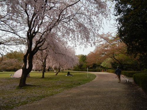 f0128821_21434340.jpg