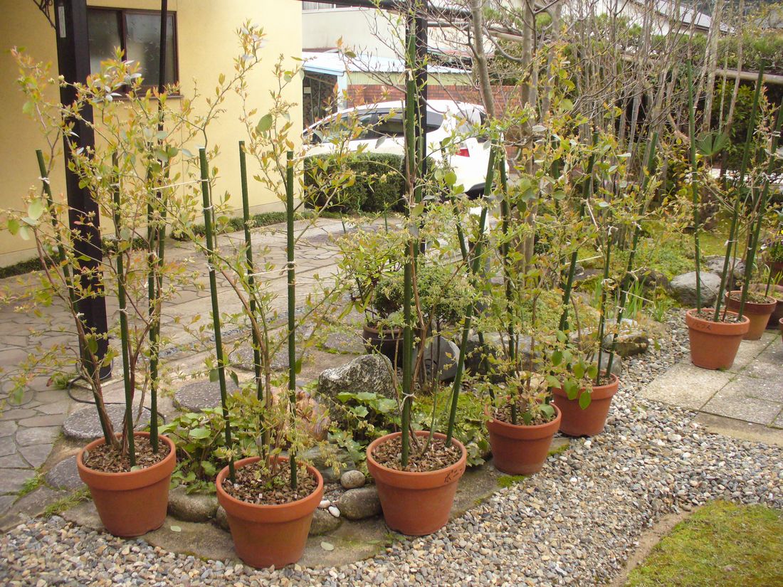 f0346527_22105720.jpg