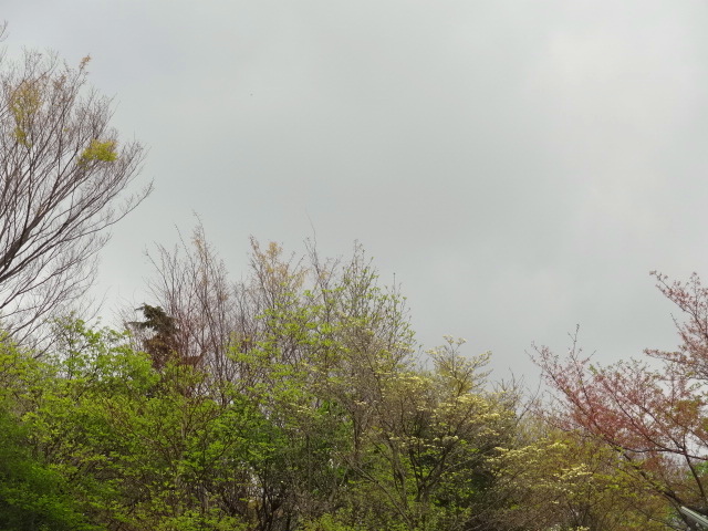 e0016828_12223470.jpg