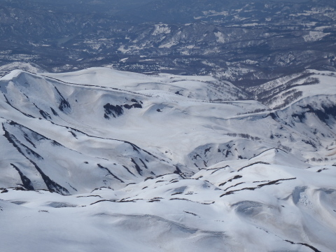 f0118332_23044702.jpg