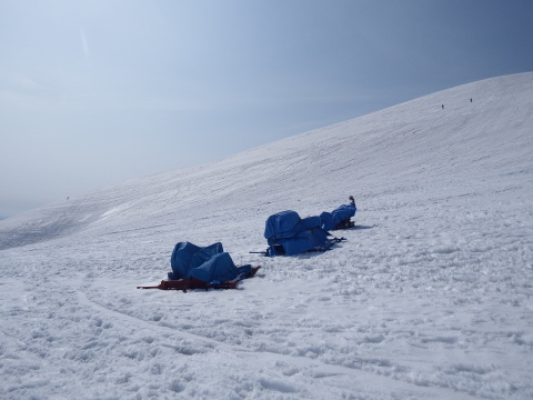 f0118332_23120354.jpg