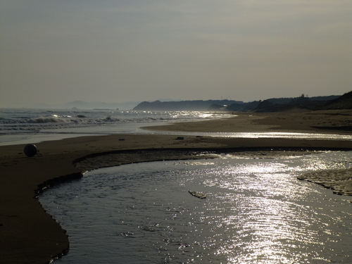 c0194535_1455177.jpg