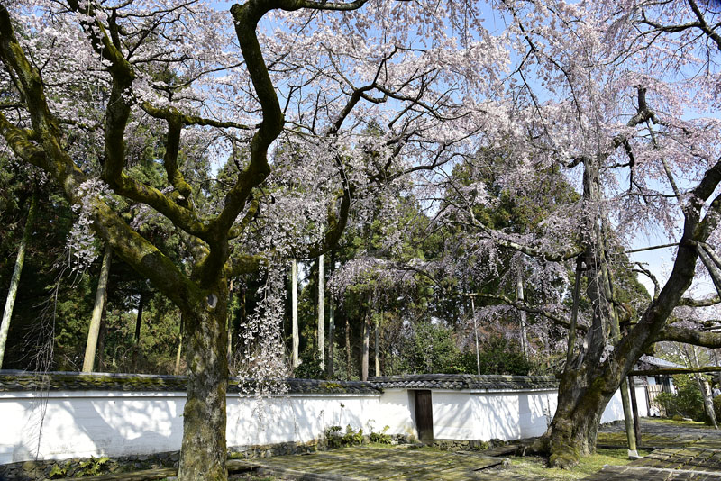 b0042837_1875441.jpg