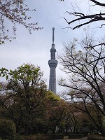 f0065542_17361996.jpg