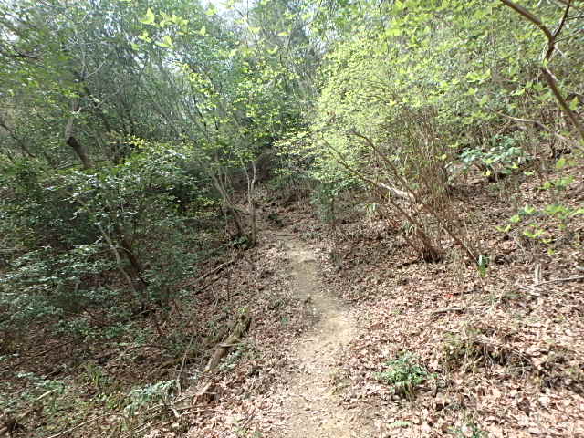 f0334143_20542697.jpg