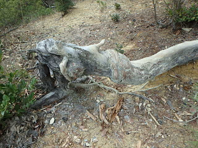 f0334143_20544233.jpg
