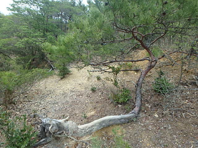 f0334143_20552396.jpg