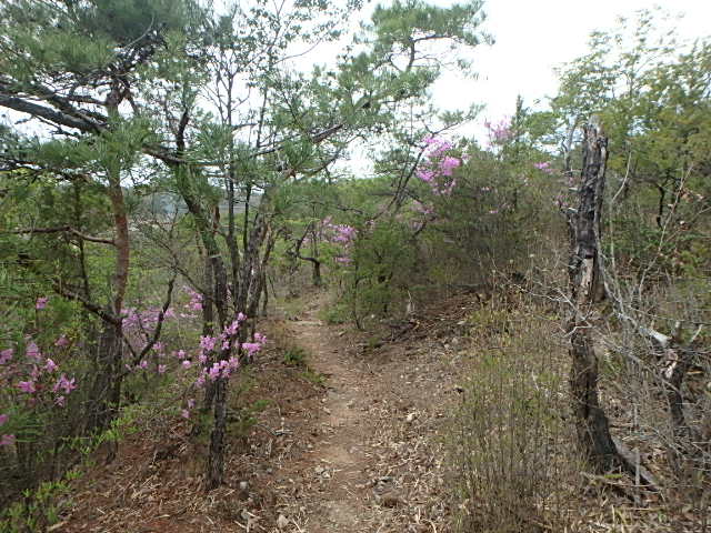 f0334143_20564586.jpg