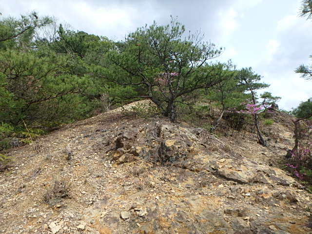 f0334143_20565316.jpg