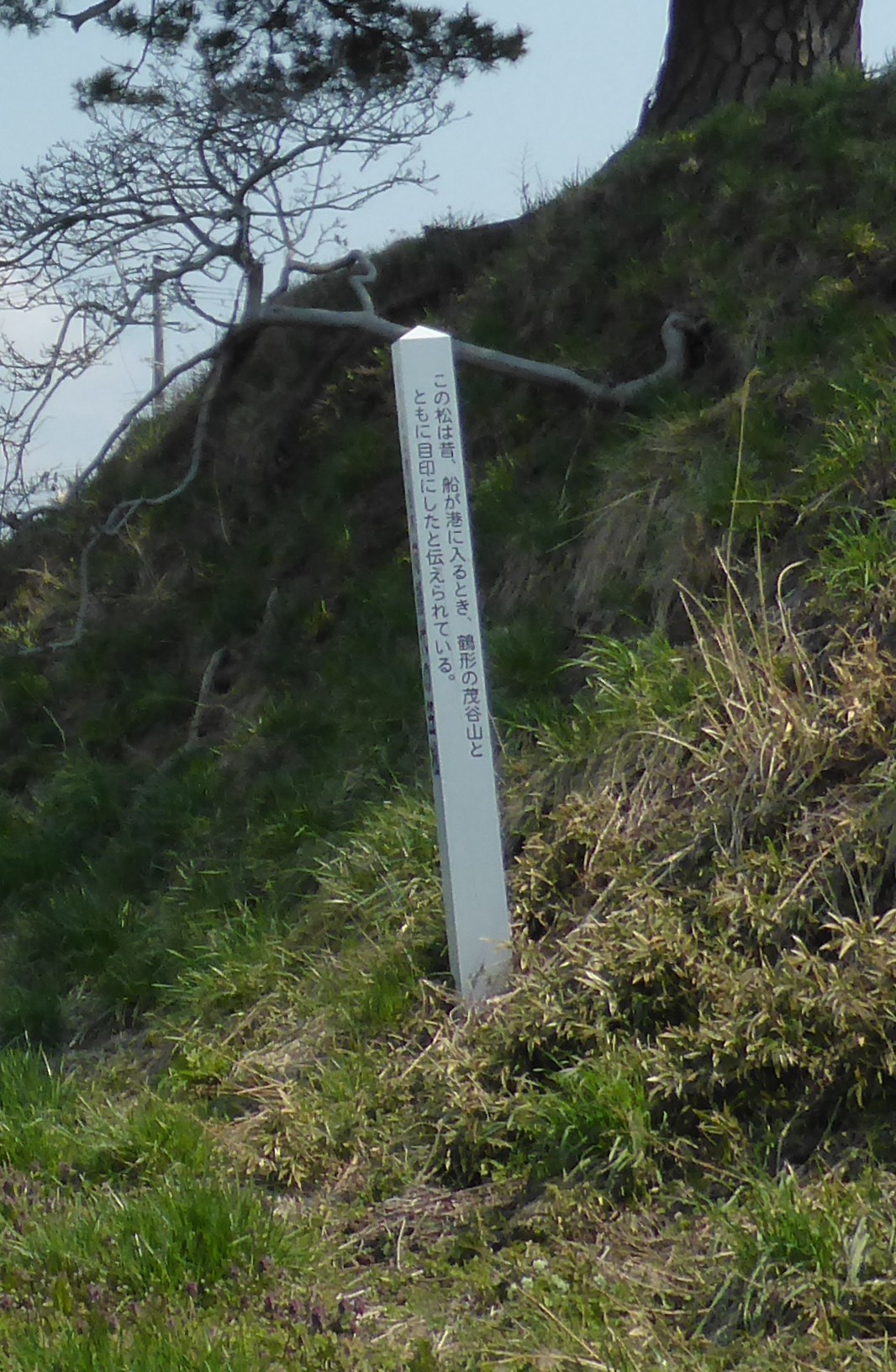 b0238249_19313070.jpg