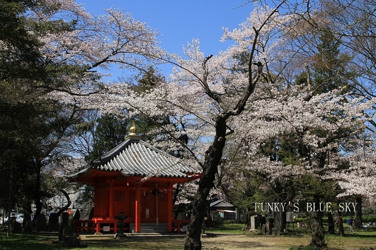 c0145250_15474353.jpg