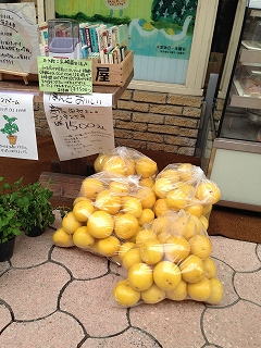 d0031853_4465351.jpg