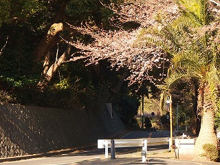 e0004756_20252385.jpg