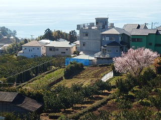 e0004756_20405180.jpg
