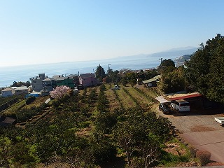 e0004756_2040971.jpg