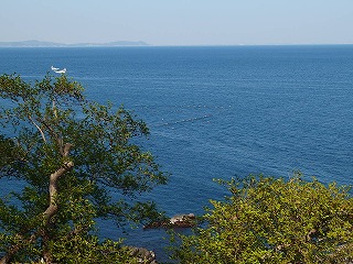 e0004756_206689.jpg