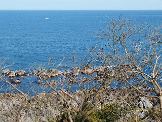 e0004756_207087.jpg
