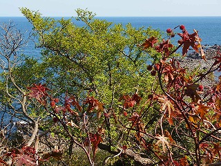 e0004756_2073846.jpg