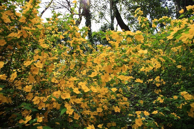 e0262257_23592201.jpg