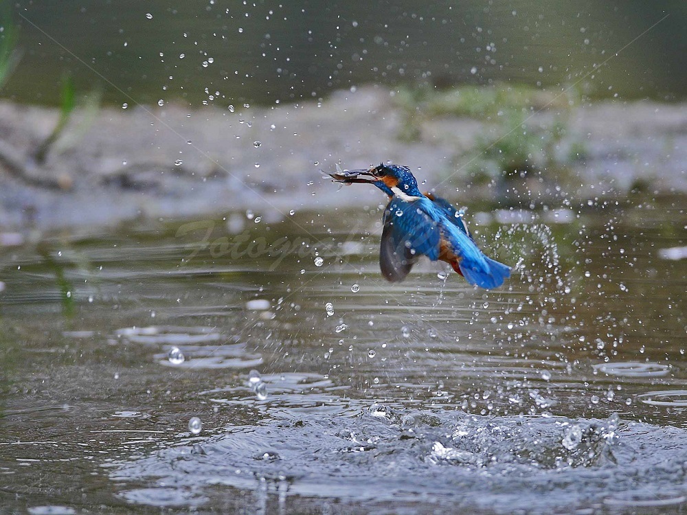 a0330864_20201254.jpg