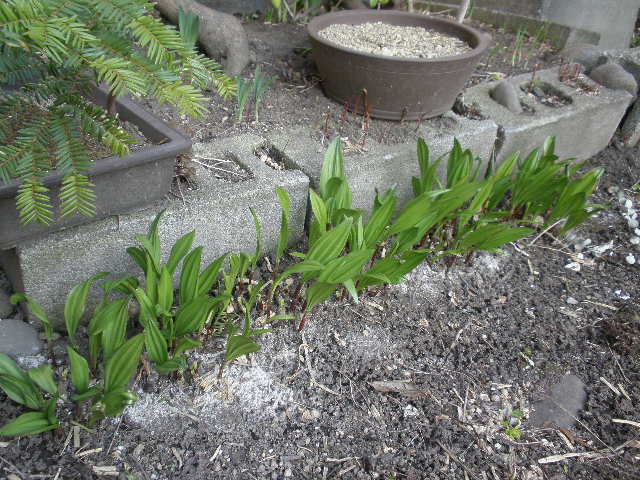d0150967_23311661.jpg
