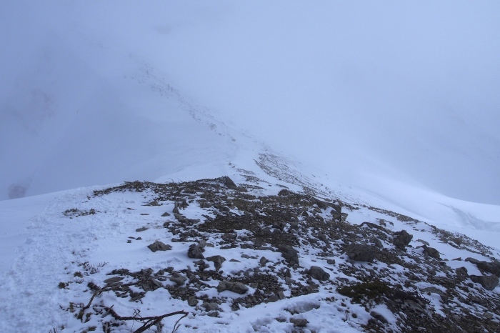 e0307372_16321965.jpg
