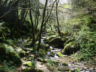 d0182075_6332177.jpg
