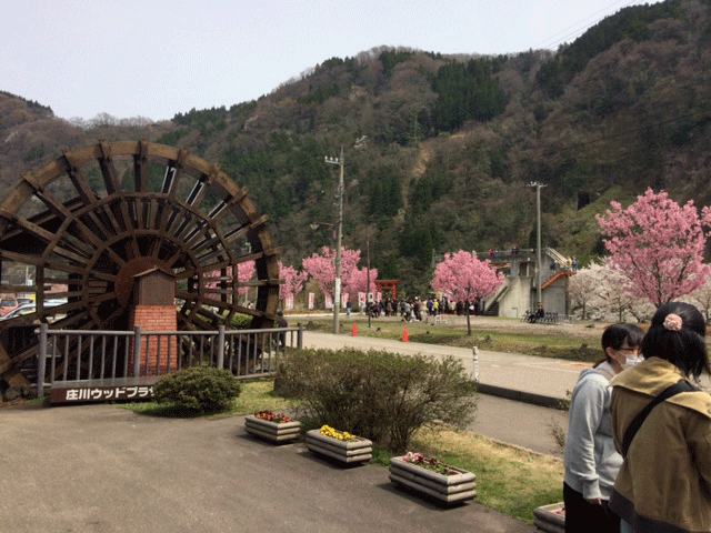b0098881_21144120.gif