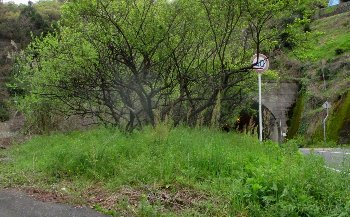 f0003283_11392259.jpg