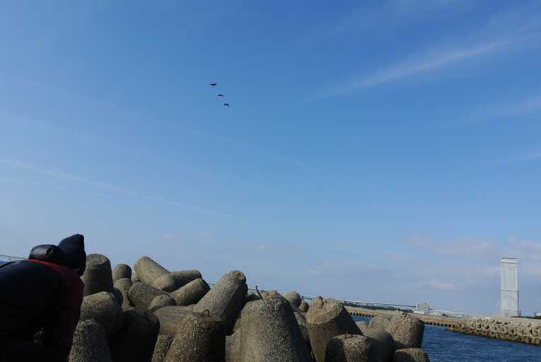 c0340685_23373016.jpg
