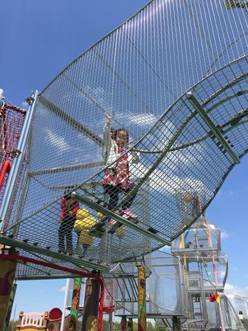 f0169186_10101721.jpg