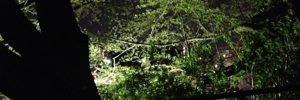 c0170789_21185085.jpg