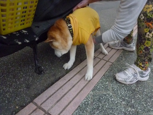 c0123890_2039025.jpg