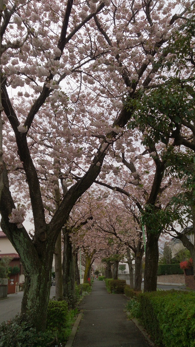 f0137694_12111240.jpg
