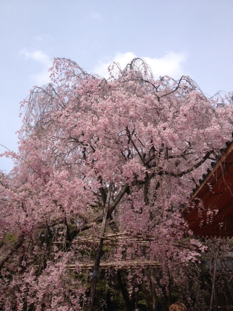 f0204295_19261179.jpg