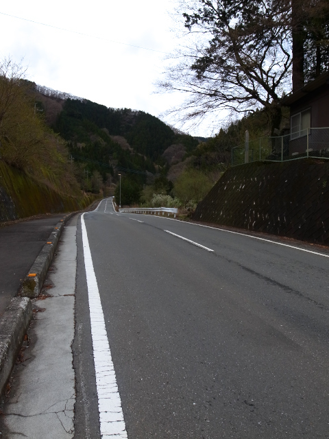 d0081997_14335133.jpg