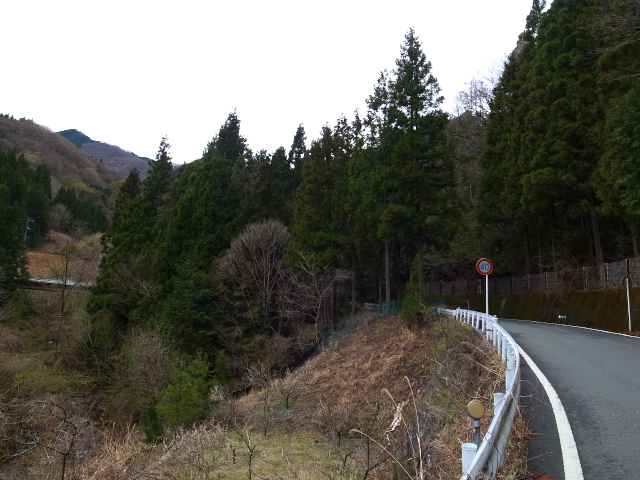 d0081997_14344559.jpg