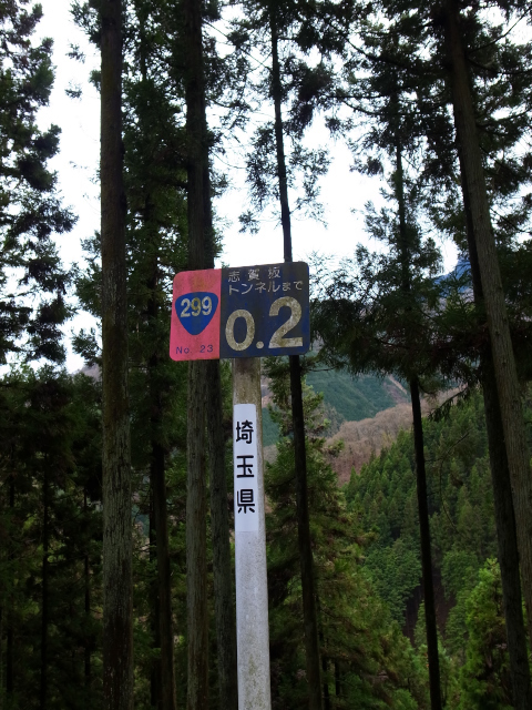 d0081997_14422891.jpg