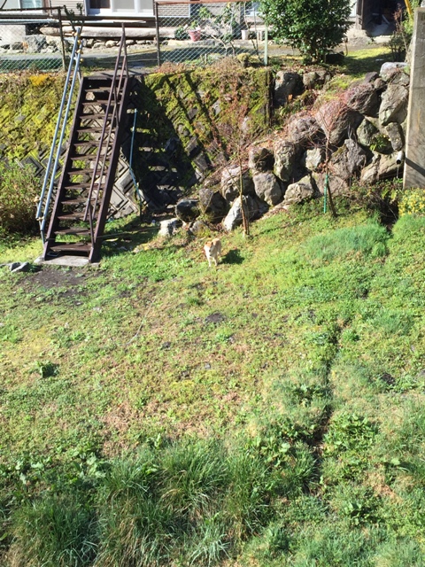 e0003097_1764538.jpg