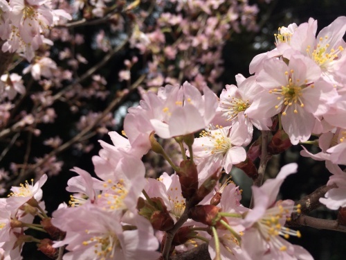 f0201297_12034383.jpg