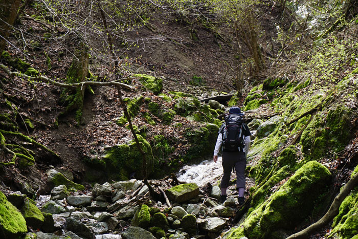 e0077010_21503571.jpg