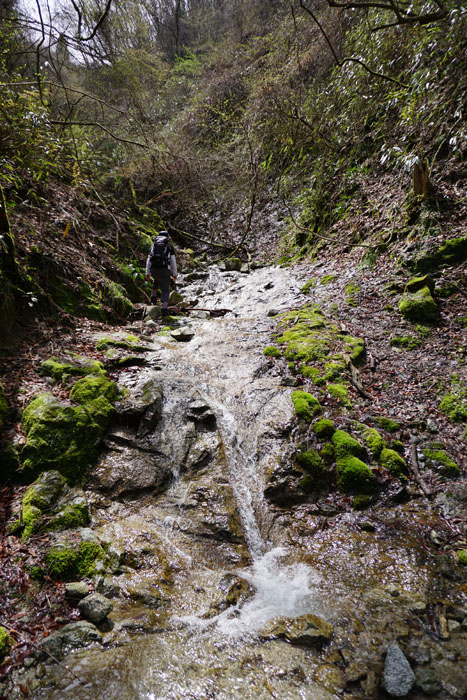 e0077010_21543796.jpg